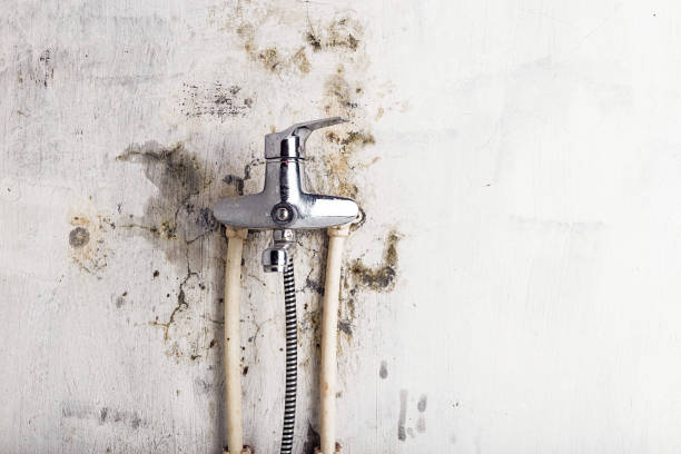 Best Certified Mold Removal  in The Hideout, PA