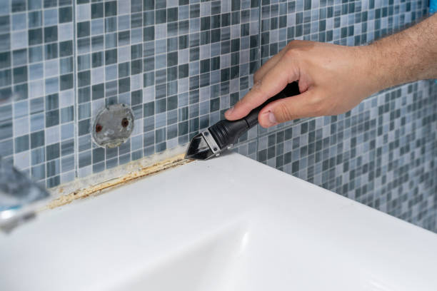 Best Professional Mold Removal  in The Hideout, PA